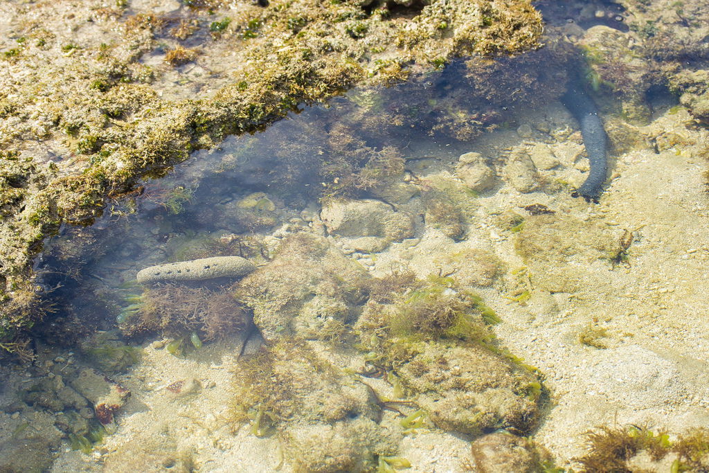 DSC_0051-.jpg DSC_0051-.jpg