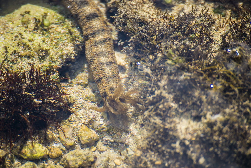 DSC_0056-.jpg DSC_0056-.jpg