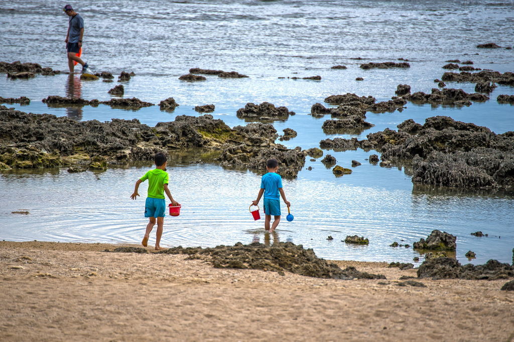 DSC_9780--.jpg DSC_9780--.jpg