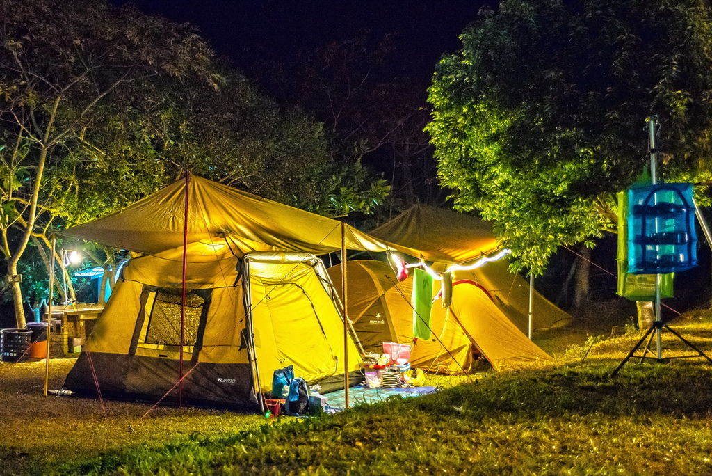 DSC_1247--.jpg DSC_1247--.jpg