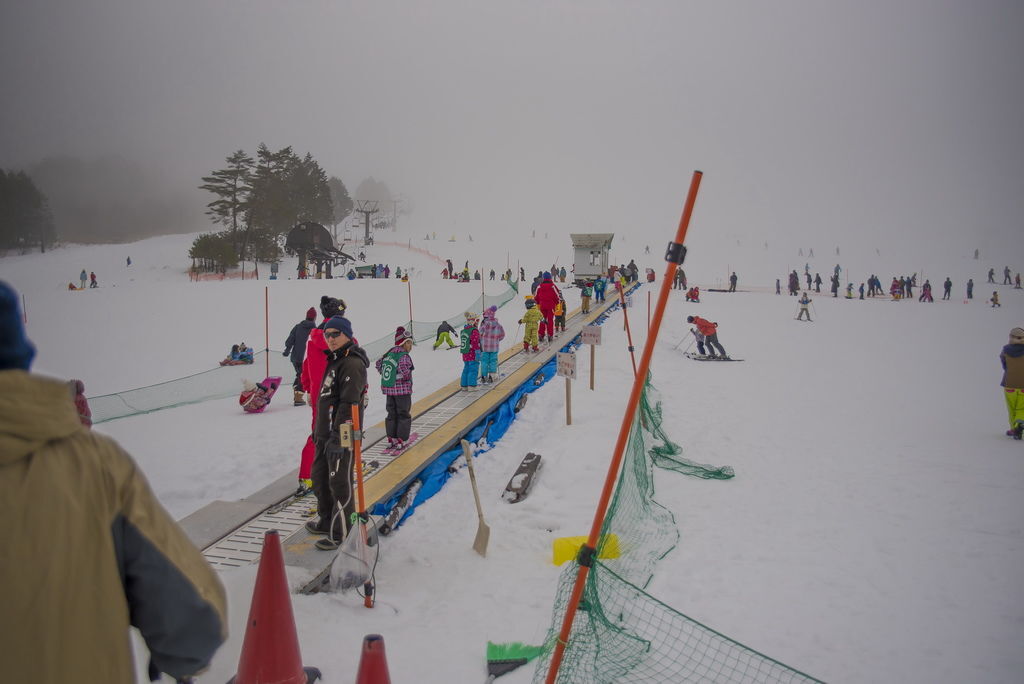 DSC_1862-.jpg DSC_1862-.jpg