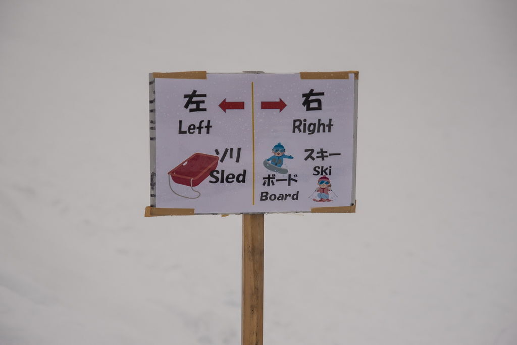 DSC_1900-.jpg DSC_1900-.jpg