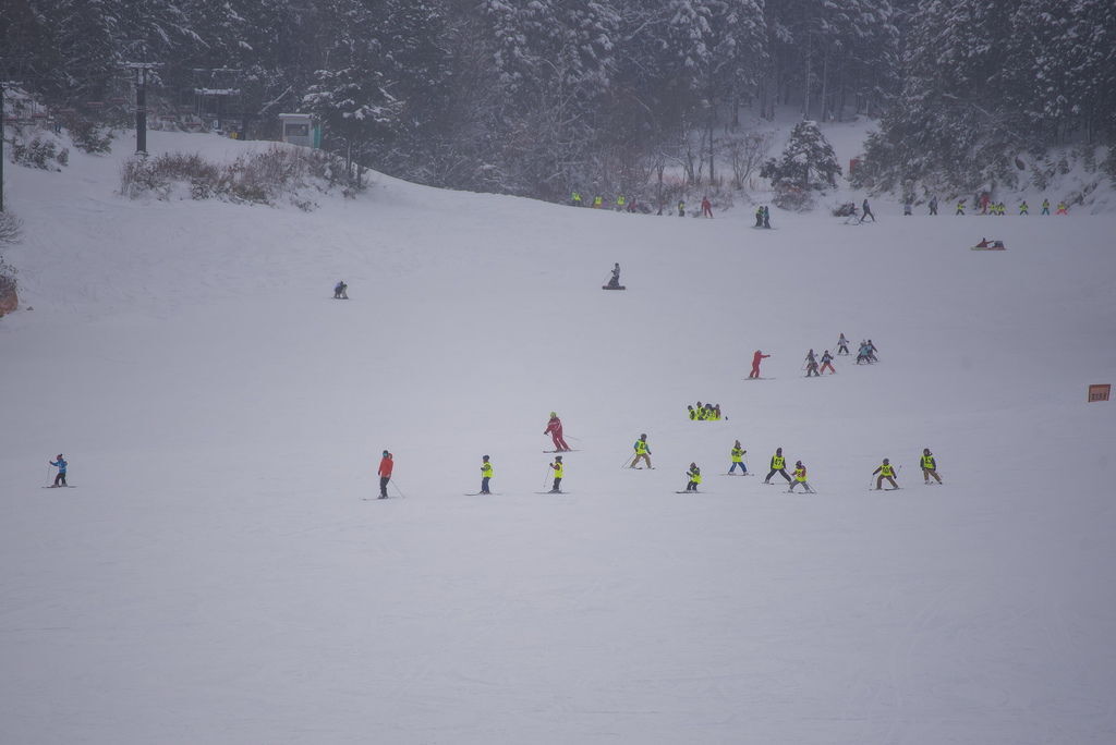 DSC_2110-.jpg DSC_2110-.jpg