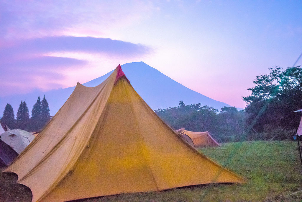DSC_7950--.jpg DSC_7950--.jpg