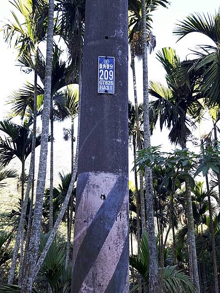 20210203 南投大橫屏山-1.jpg