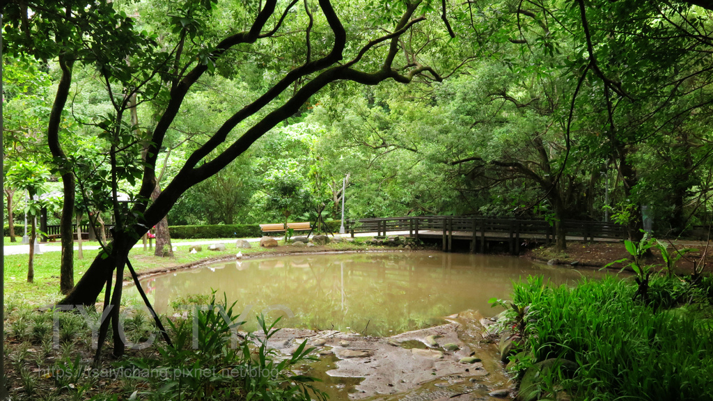 台北士林-天母公園