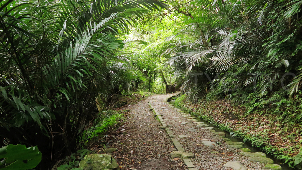 馬岸古圳步道.jpg