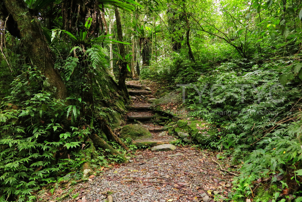 溪瀧步道.JPG