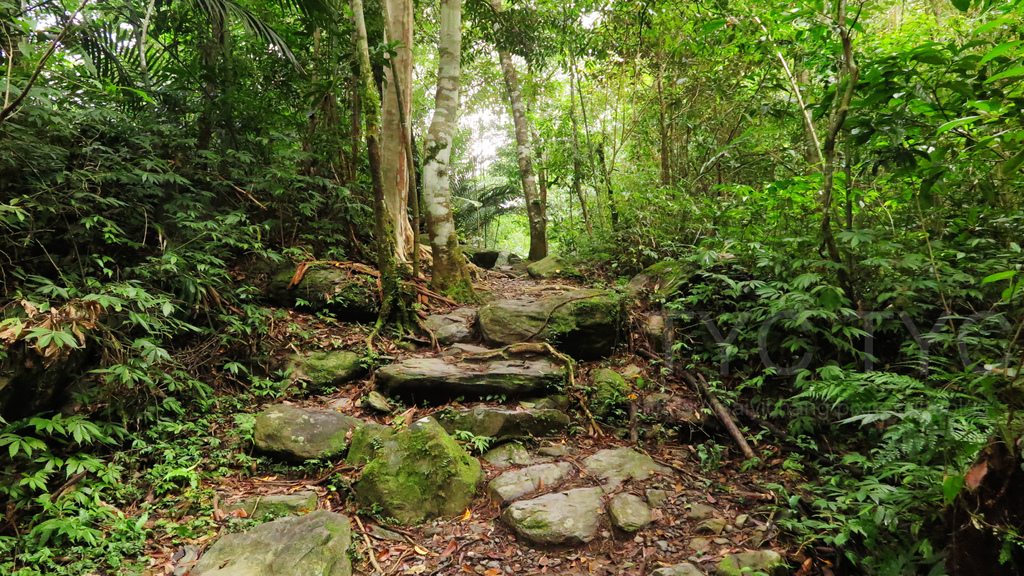 溪瀧步道-00.JPG