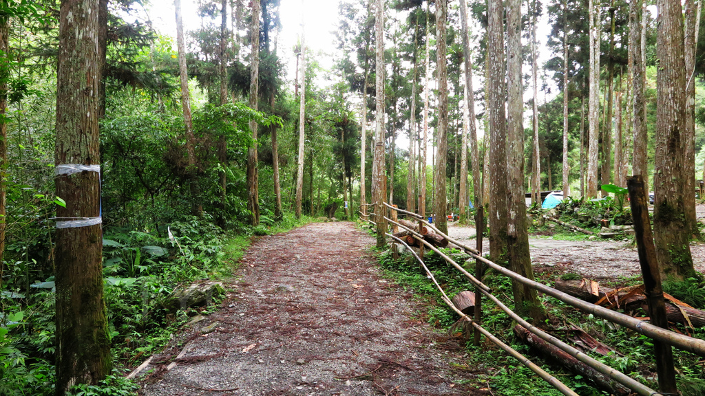 溪瀧步道01-3.JPG