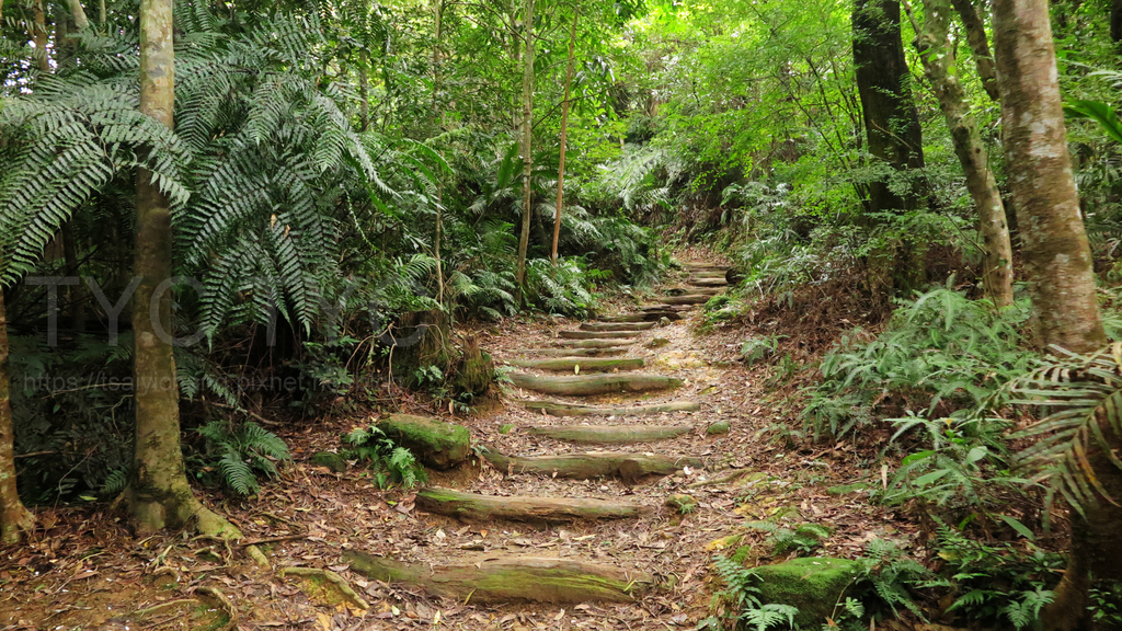 茶山古道.JPG