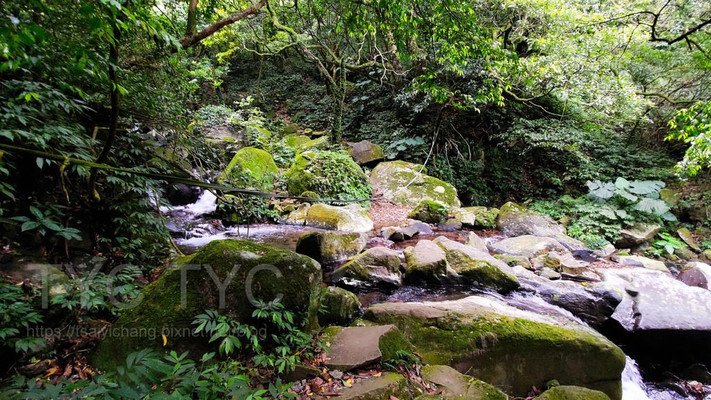 大屯溪古道.jpg