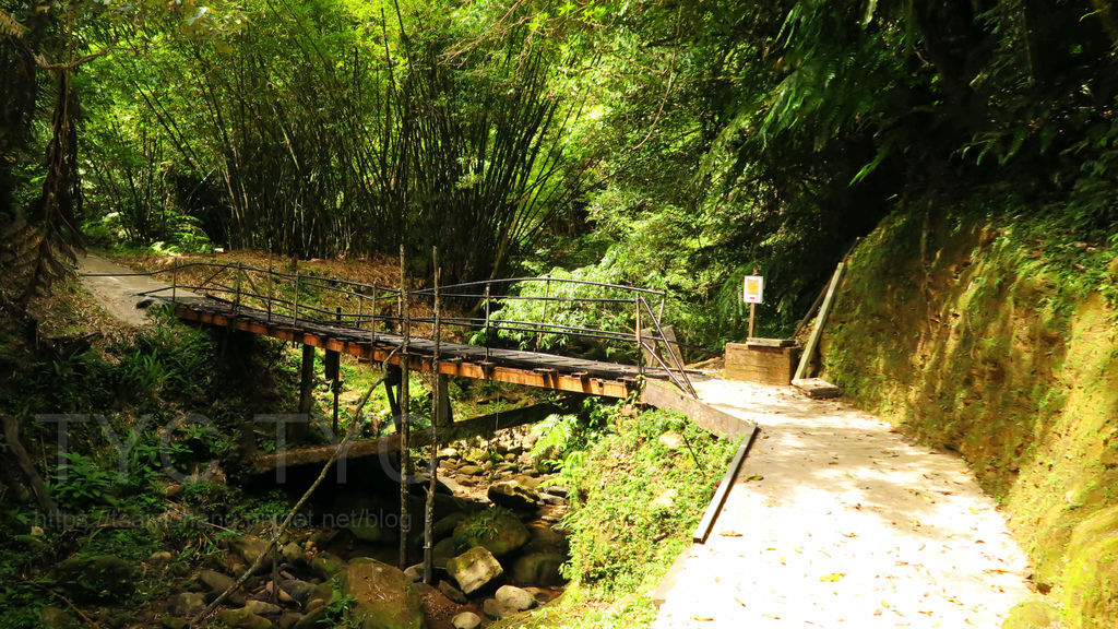 紙寮坑古道.JPG