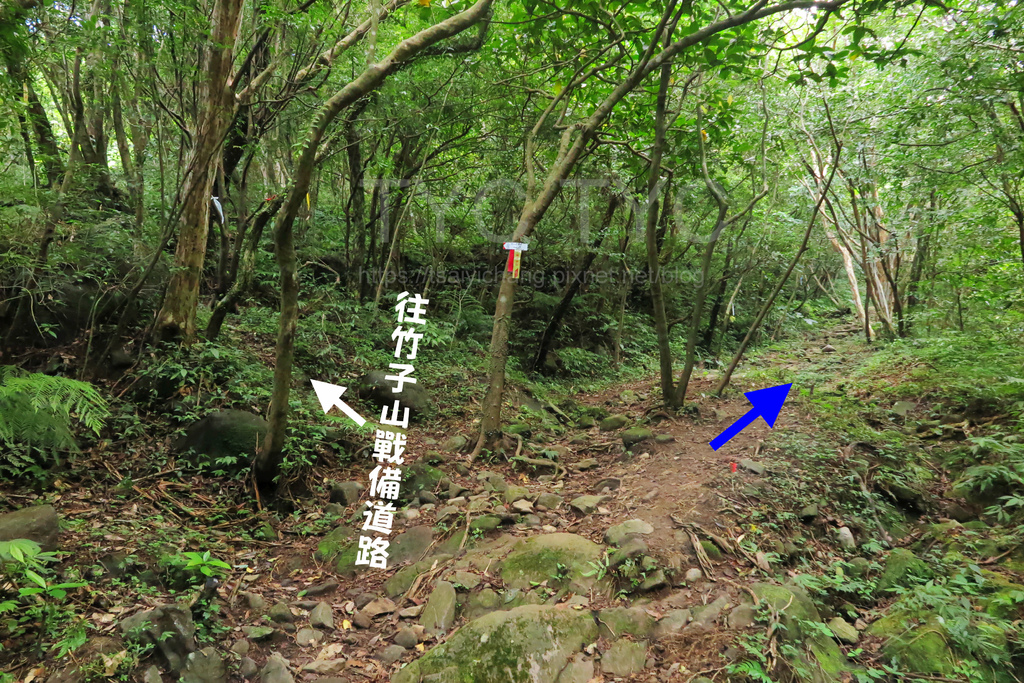 內柑宅古道.JPG