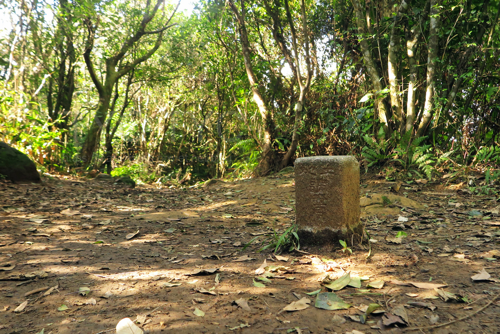 猴山岳登山步道-猴山岳主峰.JPG