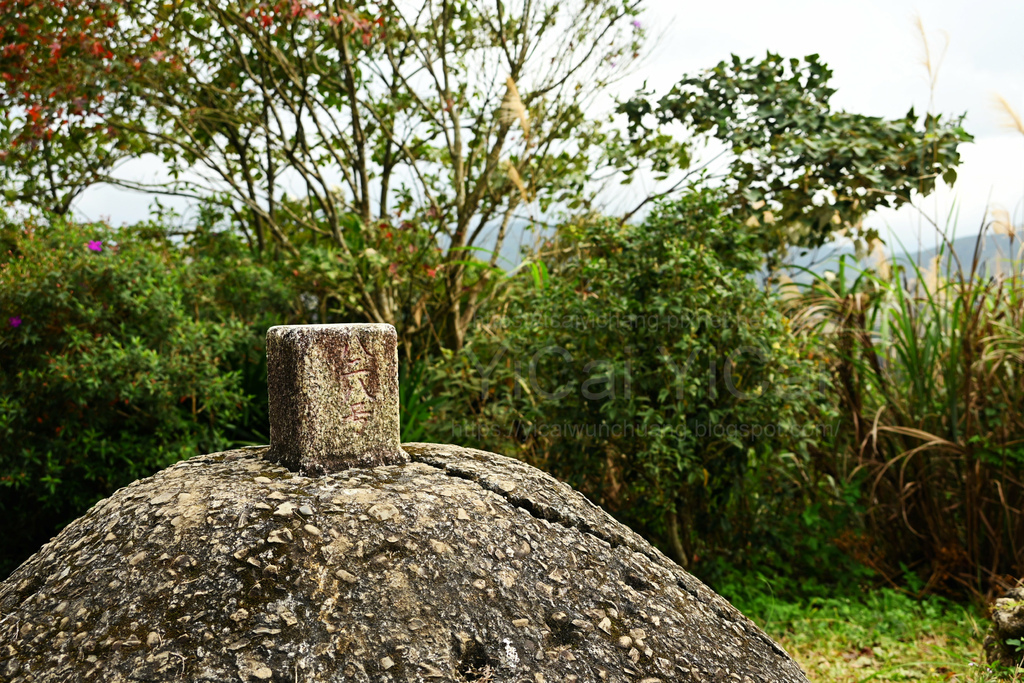 小南港山.JPG