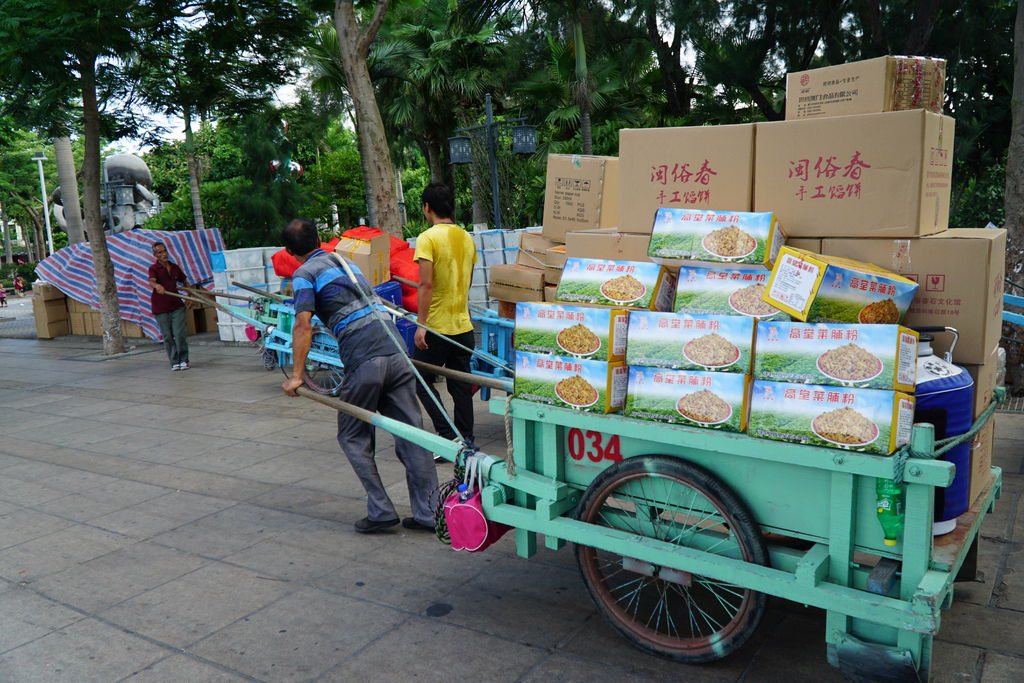 DSC06782.JPG DSC06782.JPG