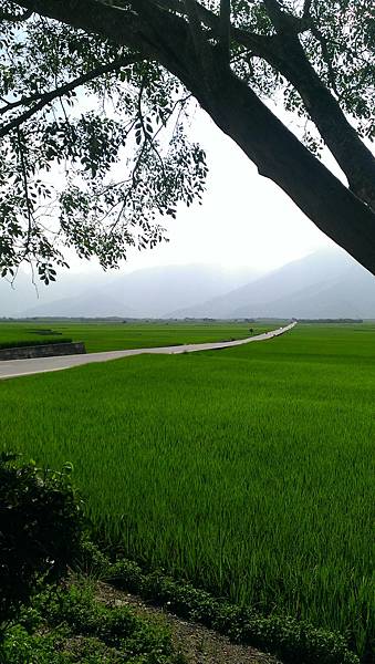 IMAG2009.jpg