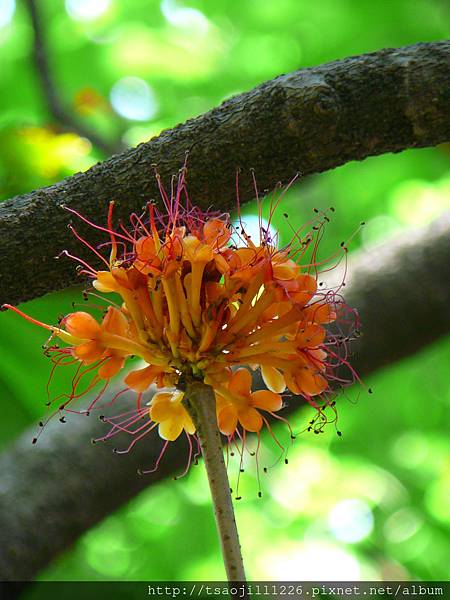 P1750915 P1750915