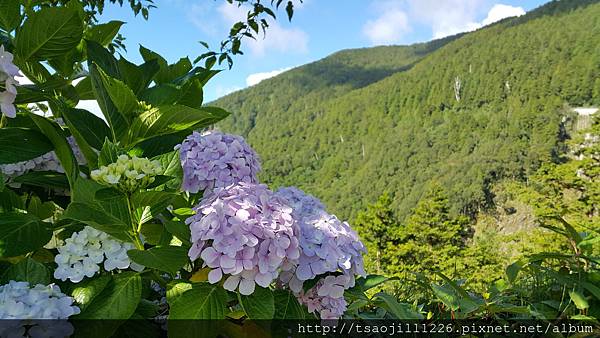 20170704_080747 20170704_080747