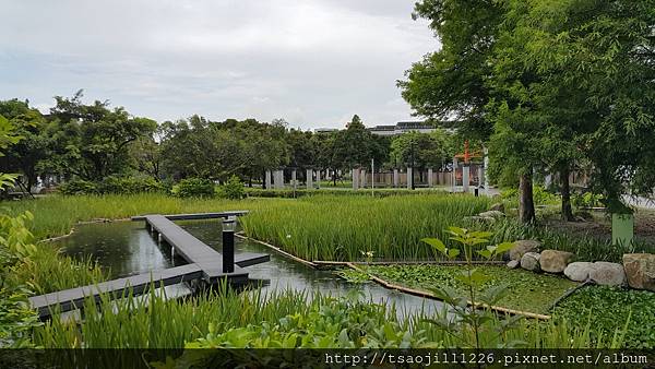 20170703_141833 20170703_141833