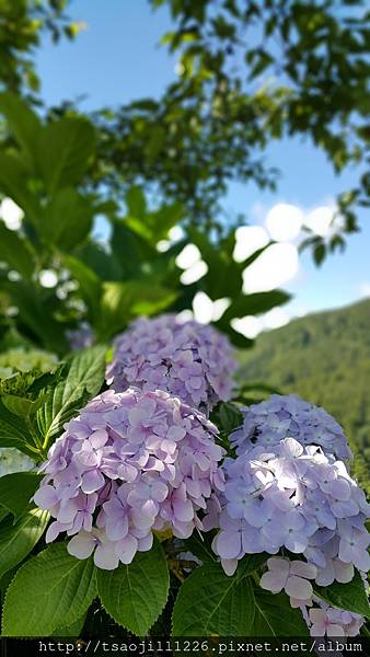 20170704_080959 20170704_080959