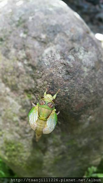 20170703_112814 20170703_112814