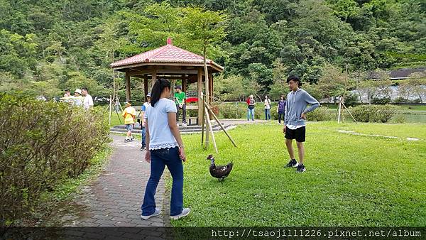 20170704_142539 20170704_142539