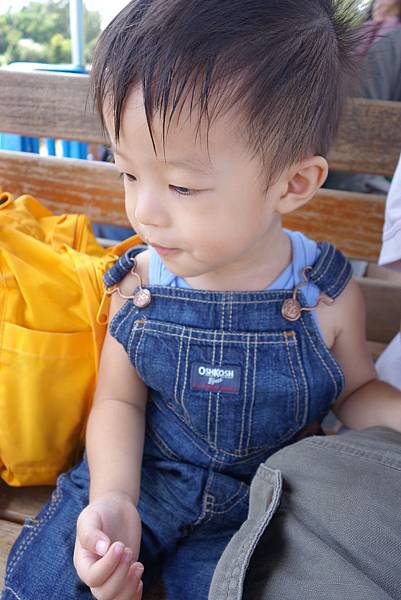 00DSC04030  (102).JPG
