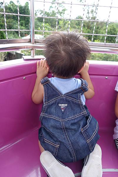 00DSC04030  (142).JPG