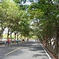 DSC06717.JPG