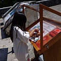 DSC01726.JPG