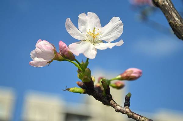 DSC_0112_調整大小 