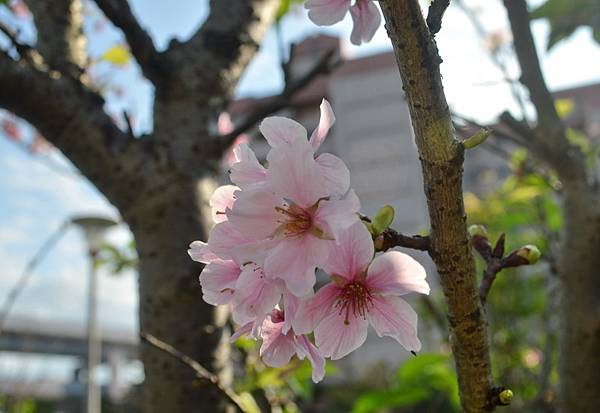 DSC_0170_調整大小 