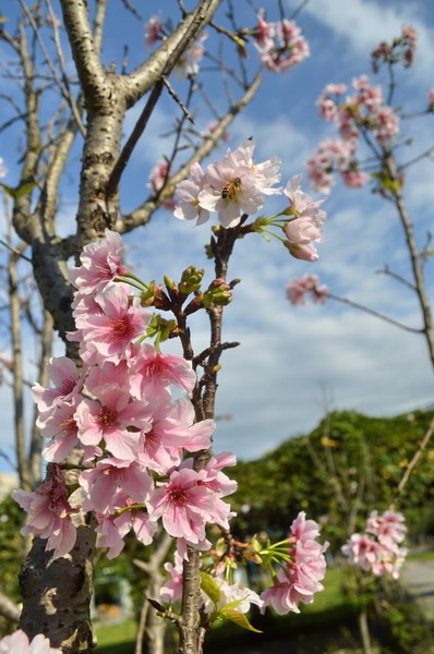 DSC_0204_調整大小 