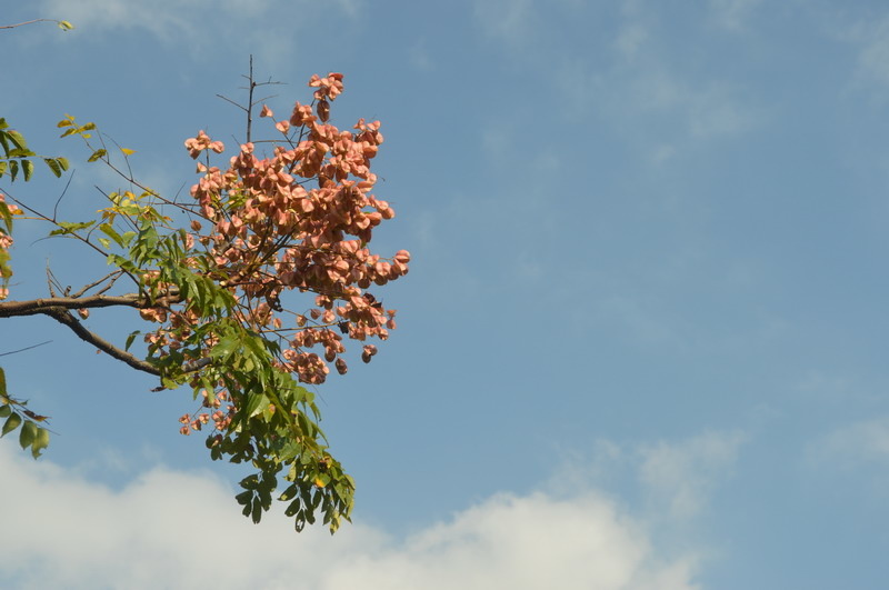 DSC_0028_調整大小 