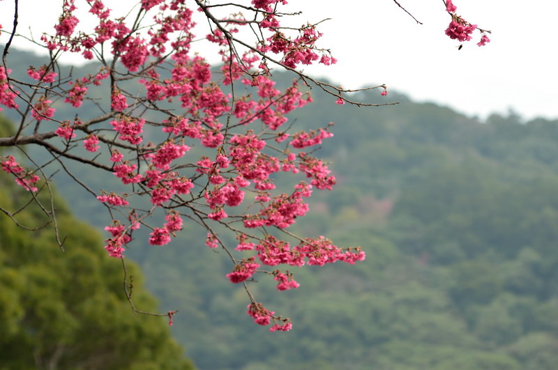 DSC_0021_調整大小 