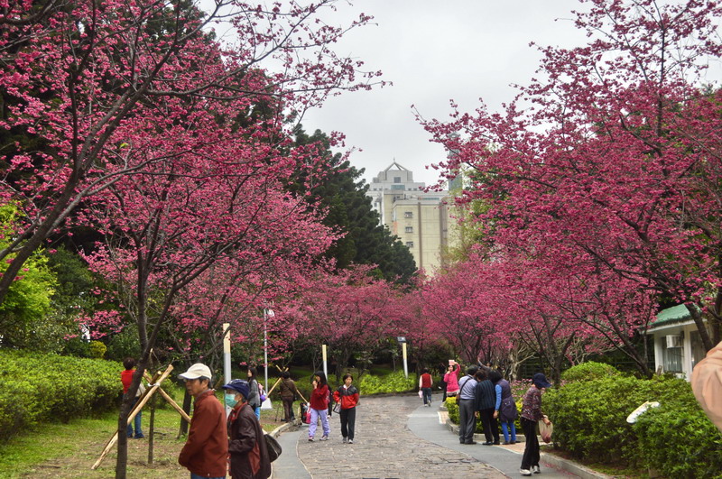 DSC_0204-01_調整大小 