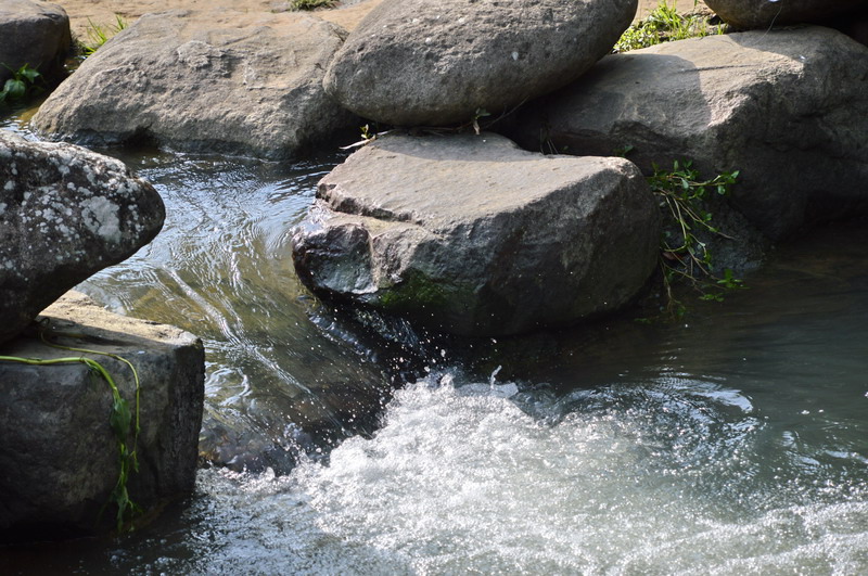 DSC_0013_調整大小 