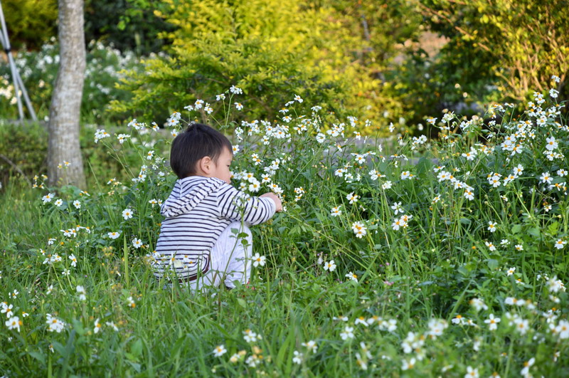 DSC_0226_調整大小 