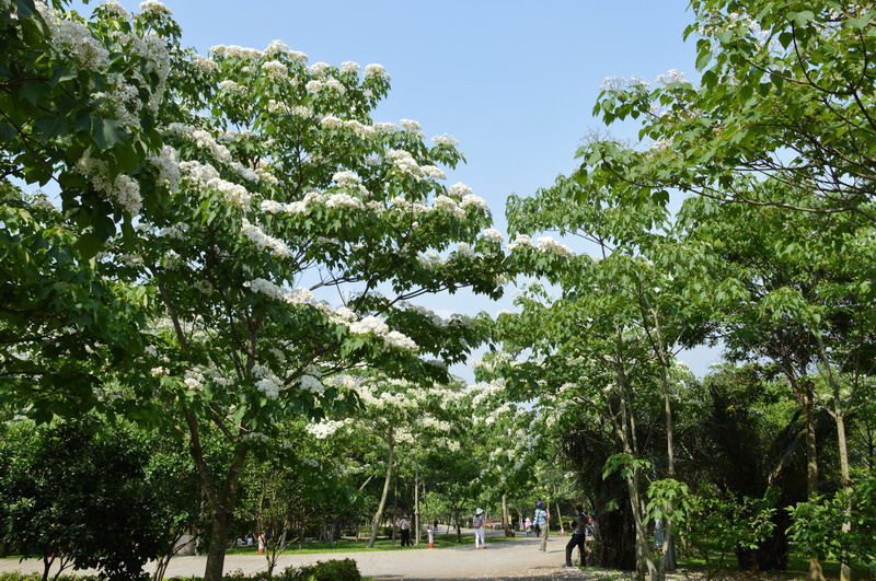 DSC_0045_調整大小 