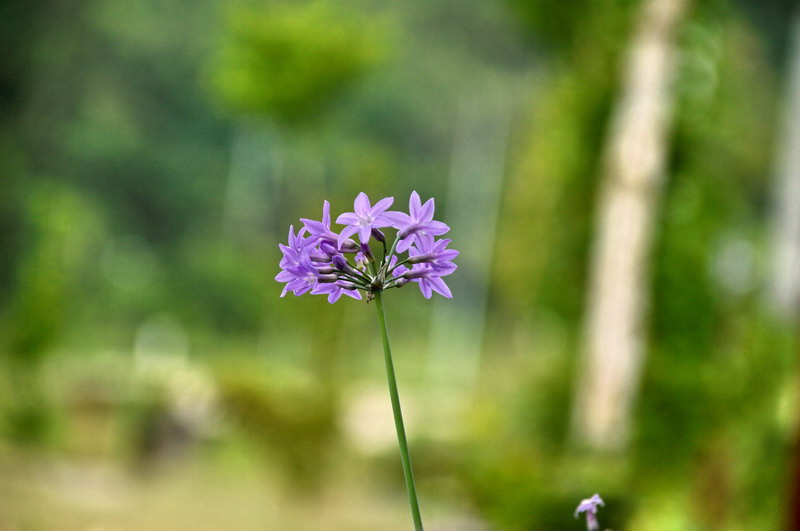 DSC_0029_調整大小 