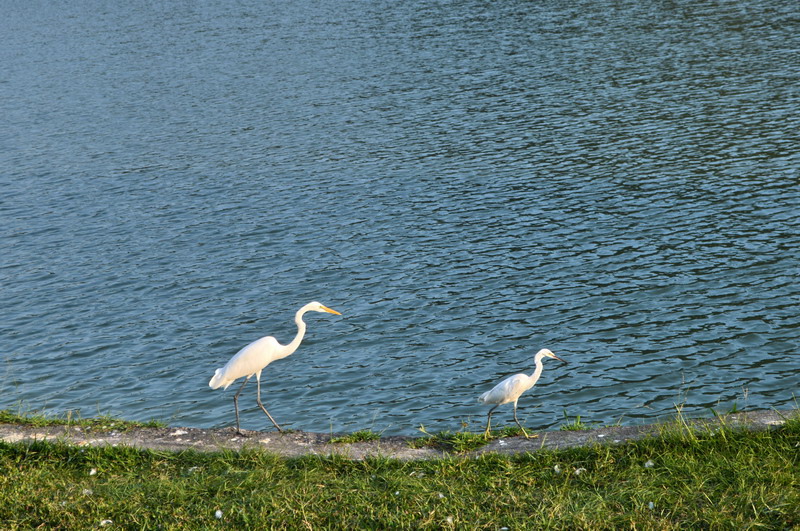 DSC_0129_調整大小 