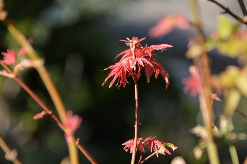 DSC_0023_調整大小 