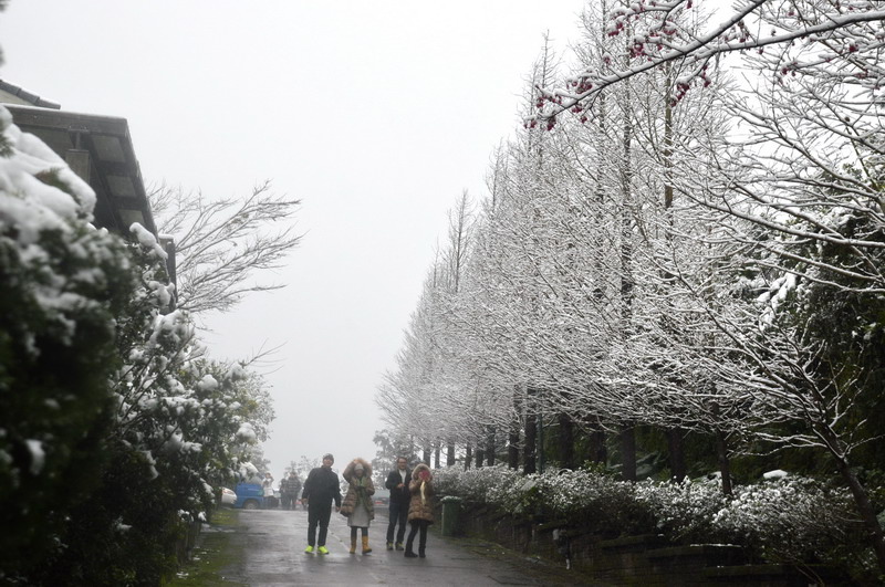 DSC_0099_調整大小 