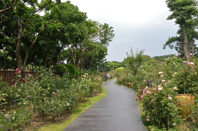 DSC_0325_調整大小 