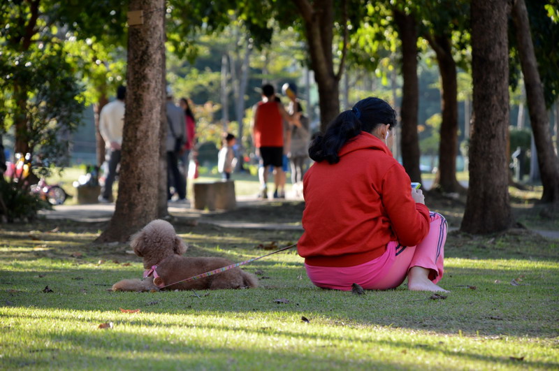 DSC_0116_調整大小 