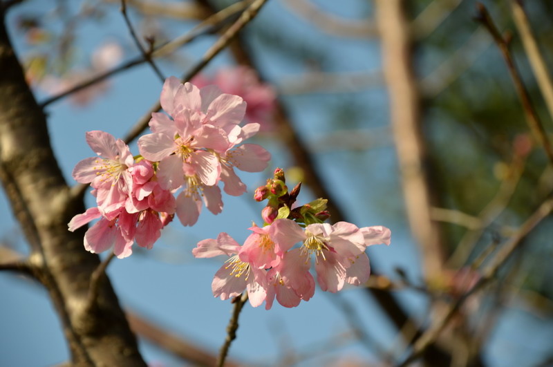 DSC_0325_調整大小 