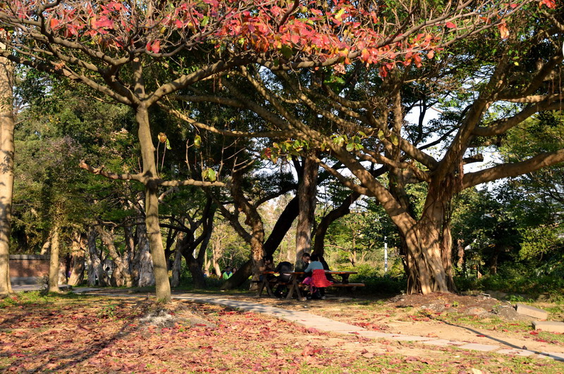 DSC_0358-1_調整大小 