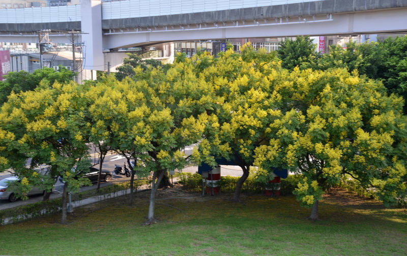 DSC_0060_調整大小 DSC_0060_調整大小